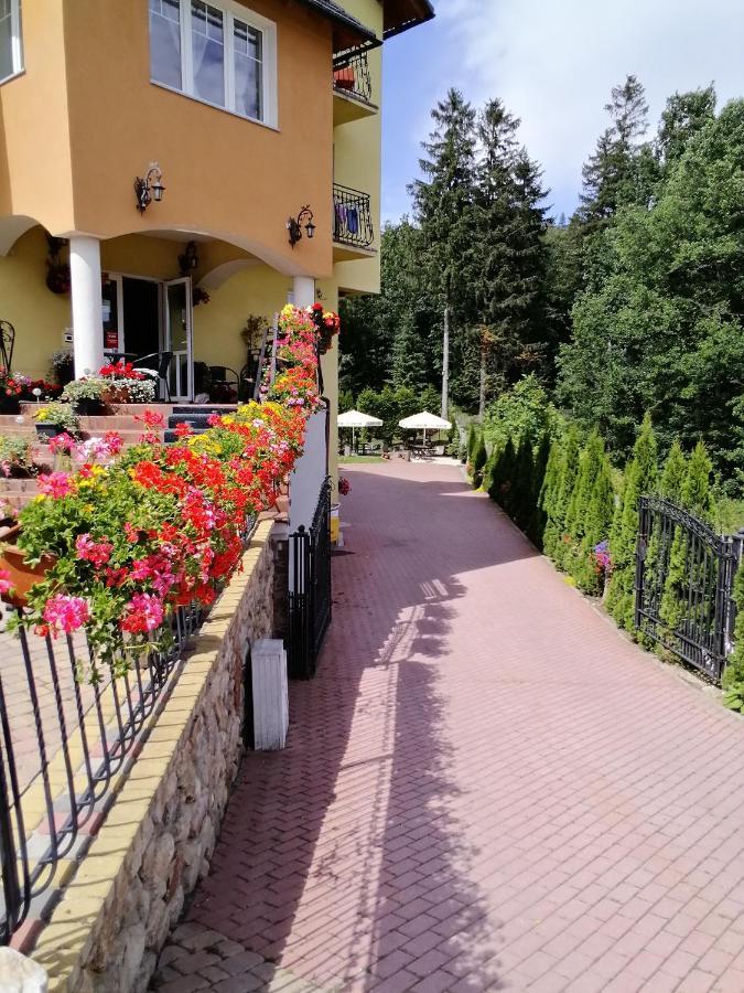Pasja Bed and Breakfast Świeradów-Zdrój Exteriör bild